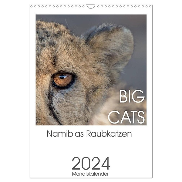 BIG CATS - Namibias Raubkatzen (Wandkalender 2024 DIN A3 hoch), CALVENDO Monatskalender, Irma van der Wiel