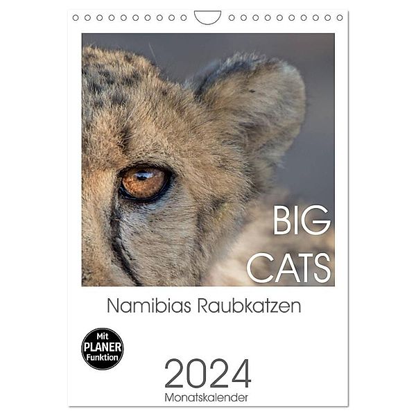 BIG CATS - Namibias Raubkatzen (Wandkalender 2024 DIN A4 hoch), CALVENDO Monatskalender, Irma van der Wiel