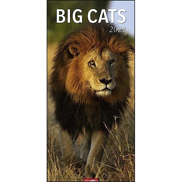 Big Cats XL 2021