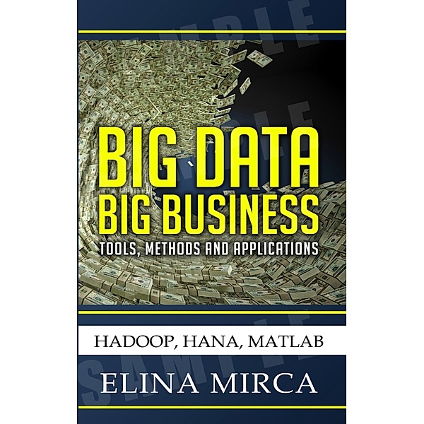 Big Data - Big Business, Elina Mirca