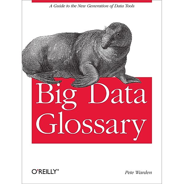 Big Data Glossary, Pete Warden