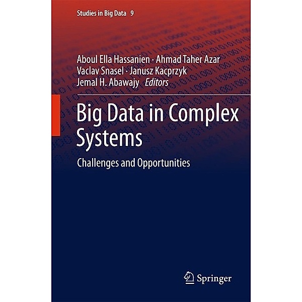Big Data in Complex Systems / Studies in Big Data Bd.9