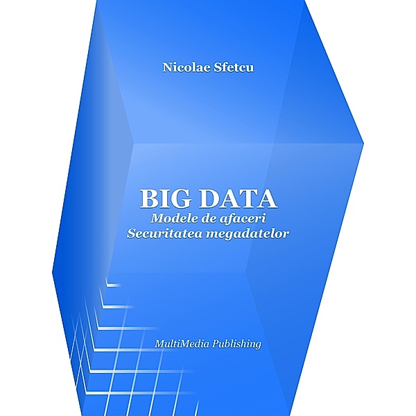 Big Data: Modele de afaceri - Securitatea megadatelor, Nicolae Sfetcu