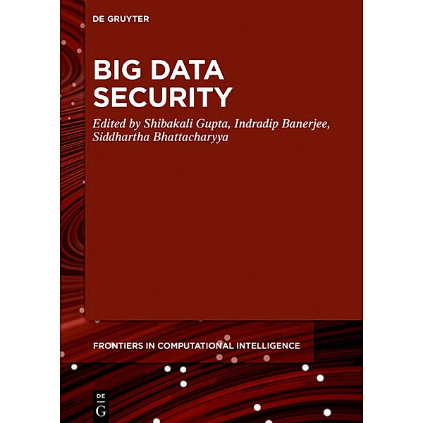 Big Data Security