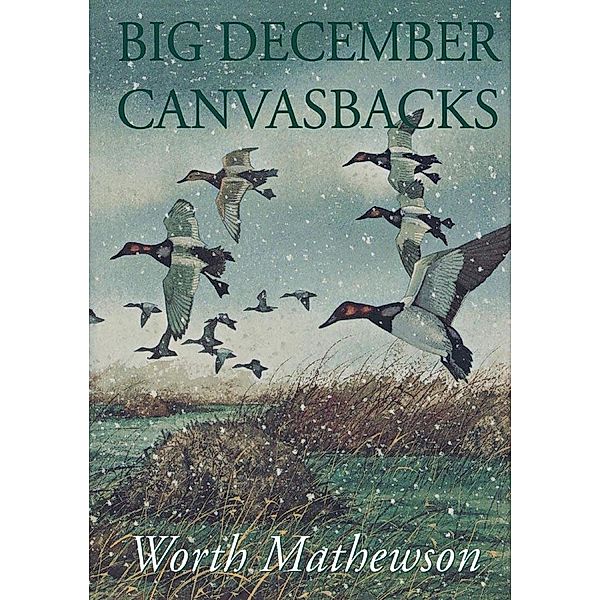 Big December Canvasbacks, Revised, Worth Mathewson