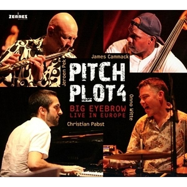 Big Eyebrow (Live In Europe), Pitchplot4