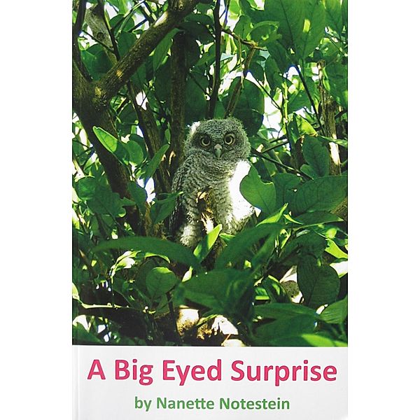 Big Eyed Surprise / Nanette Notestein, Nanette Notestein