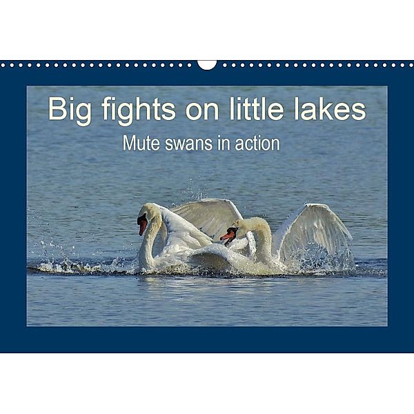 Big fights on little lakes (Wall Calendar 2021 DIN A3 Landscape), René Schaack