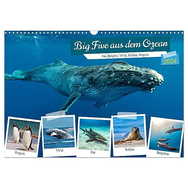 Big Five aus dem Ozean Hai, Delphin, Wal, Robbe, Pinguin (Wandkalender 2024 DIN A3 quer), CALVENDO Monatskalender, Susan Michel