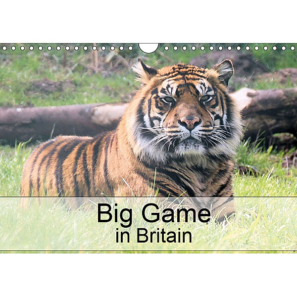Big Game in Britain (Wall Calendar 2019 DIN A4 Landscape), Jon Grainge