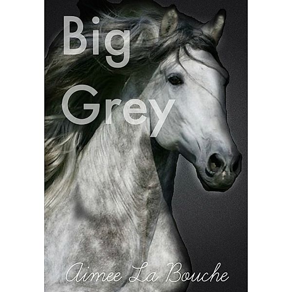 Big Grey, Aimee La Bouche