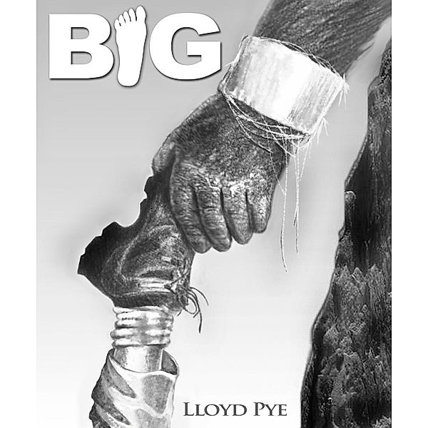 Big / Lloyd Pye, Lloyd Pye