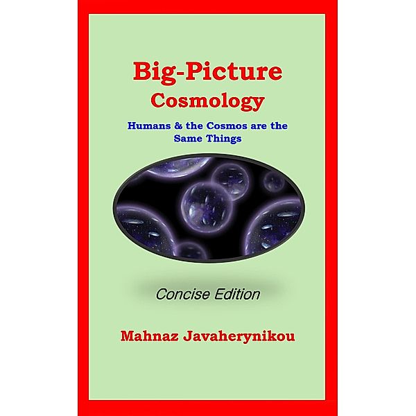 Big Picture Cosmology - Concise Edition, Mahnaz Javaherynikou