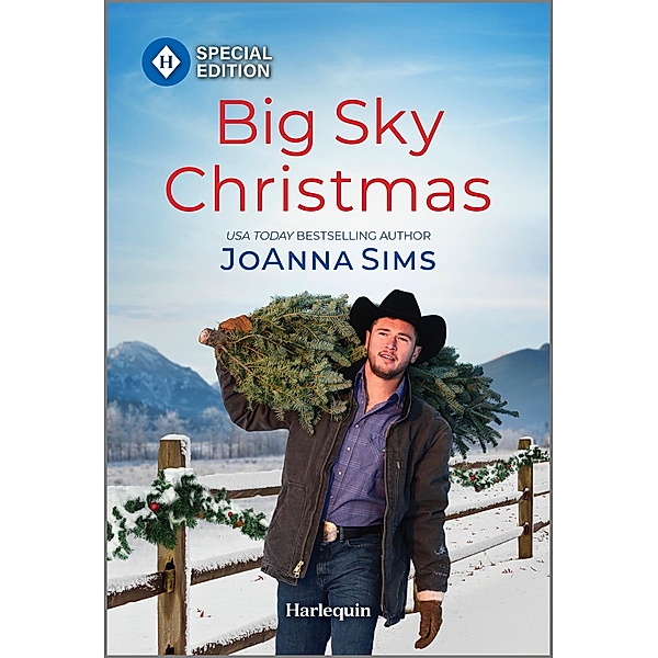 Big Sky Christmas / The Brands of Montana Bd.15, Joanna Sims