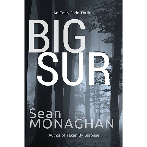 Big Sur, Sean Monaghan