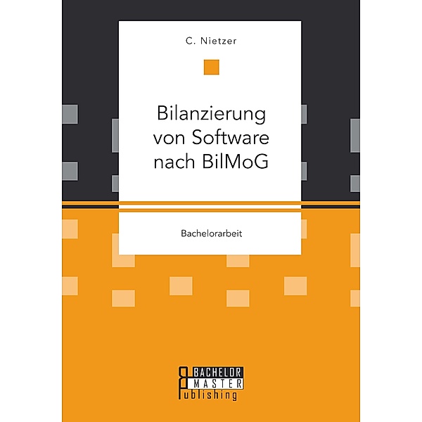 Bilanzierung von Software nach BilMoG, C. Nietzer