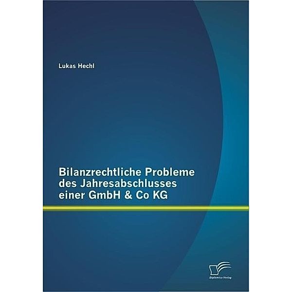 Bilanzrechtliche Probleme des Jahresabschlusses einer GmbH & Co KG, Lukas Hechl