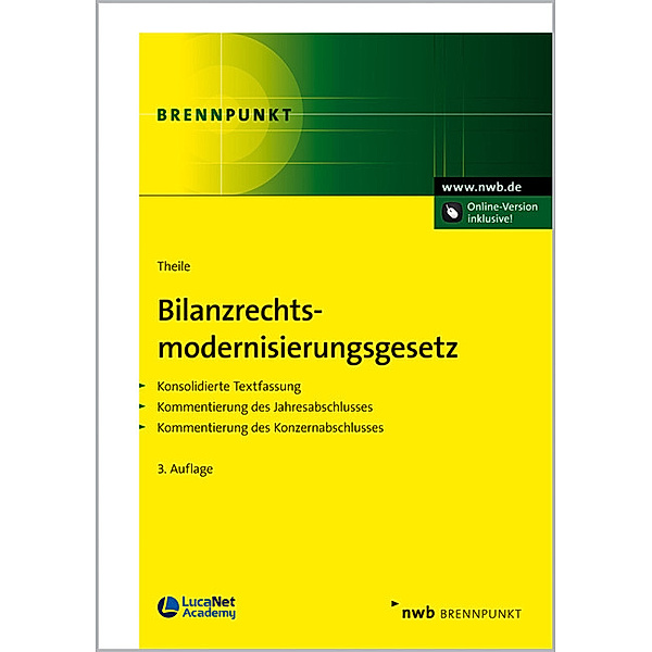 Bilanzrechtsmodernisierungsgesetz (BilMoG), Carsten Theile