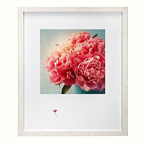 Bild mit Rahmen Pink Flower 50 x 60 cm