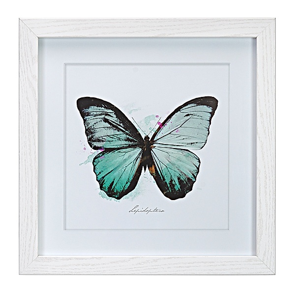 Bild mit Rahmen Schmetterling 30 x 30 cm