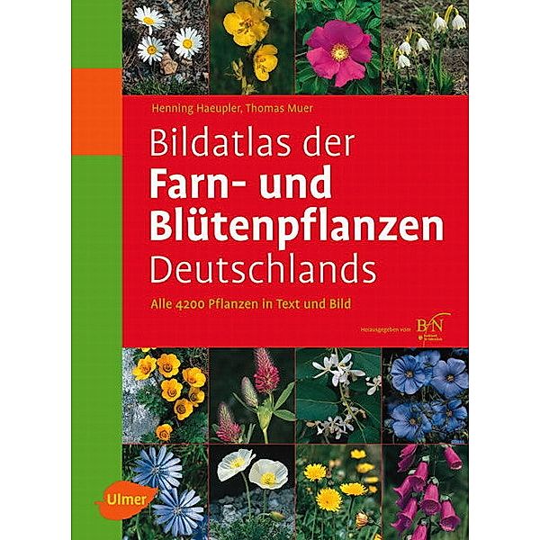 Bildatlas der Farn- und Blütenpflanzen Deutschlands, Henning Haeupler, Thomas Muer, Götz Heinrich Loos