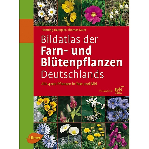 Bildatlas der Farn- und Blütenpflanzen Deutschlands, Henning Haeupler, Thomas Muer, Götz Heinrich Loos