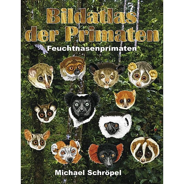 Bildatlas der Primaten, MICHAEL SCHRÖPEL