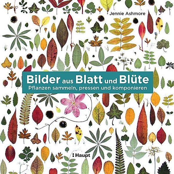 Bilder aus Blatt und Blüte, Jennie Ashmore