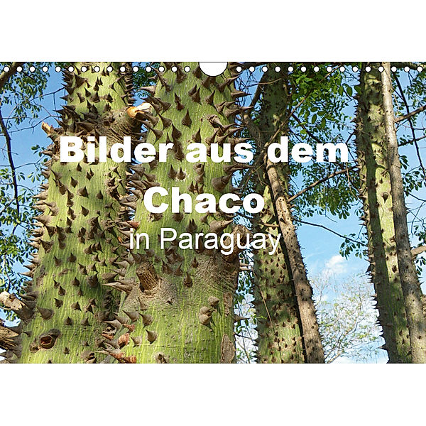 Bilder aus dem Chaco in Paraguay (Wandkalender 2019 DIN A4 quer), Gräfin Kristin von Montfort, Kristin Gräfin  von Montfort