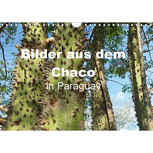 Bilder aus dem Chaco in Paraguay (Wandkalender 2020 DIN A4 quer), Gräfin Kristin von Montfort, Kristin Gräfin  von Montfort