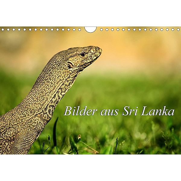 Bilder aus Sri Lanka (Wandkalender 2021 DIN A4 quer), Astrid Ziemer