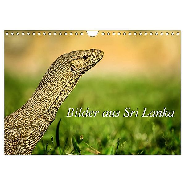 Bilder aus Sri Lanka (Wandkalender 2024 DIN A4 quer), CALVENDO Monatskalender, Astrid Ziemer