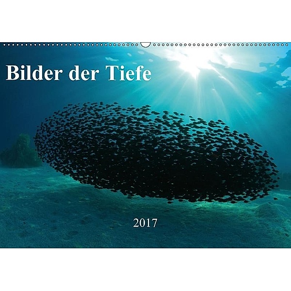 Bilder der Tiefe 2017 (Wandkalender 2017 DIN A2 quer), Martin Hablützel