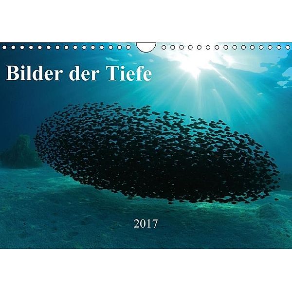 Bilder der Tiefe 2017 (Wandkalender 2017 DIN A4 quer), Martin Hablützel