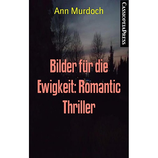 Bilder für die Ewigkeit: Romantic Thriller, Ann Murdoch