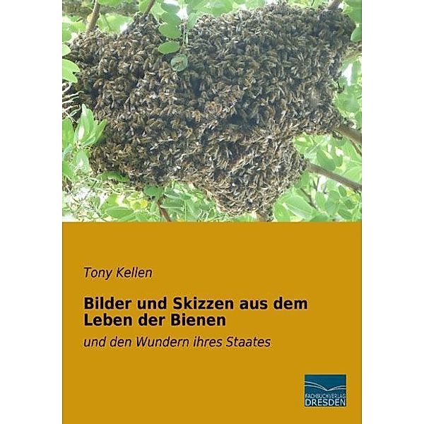 Bilder und Skizzen aus dem Leben der Bienen, Tony Kellen