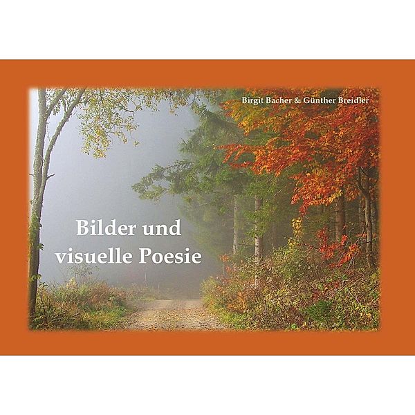 Bilder und visuelle Poesie, Birgit Bacher