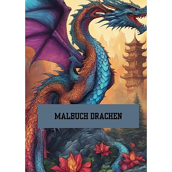 Bilderbuch / Malbuch Drachen, Willi Meinecke