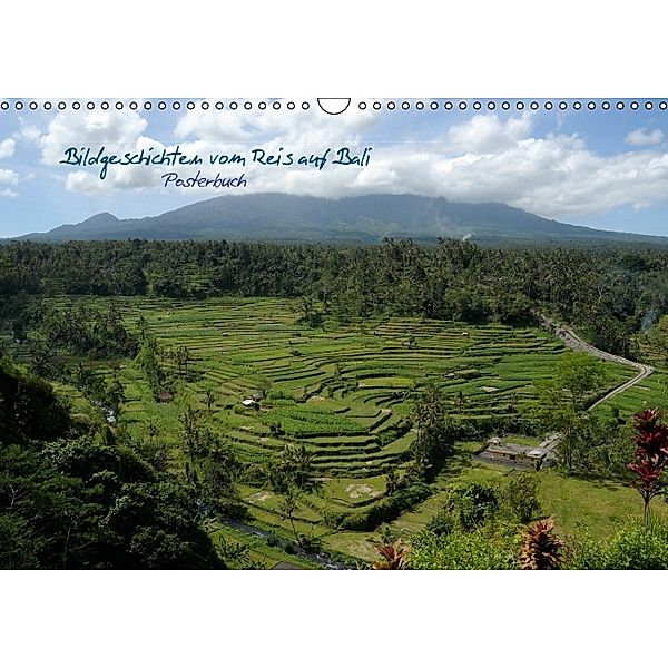 Bildgeschichten vom Reis auf Bali (PosterbuchDIN A3 quer), Elisabeth Stephan