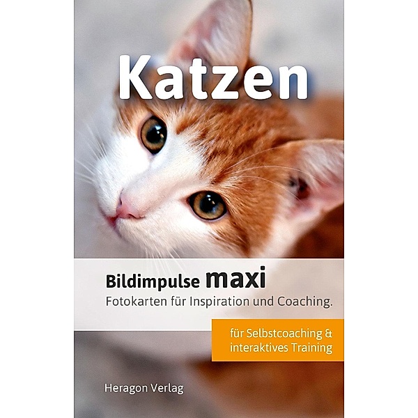 Bildimpulse maxi: Katzen, Bodo Pack