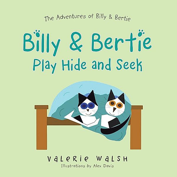 Billy & Bertie Play Hide and Seek, Valerie Walsh