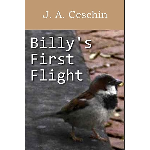 Billy's First Flight, J.A. Ceschin