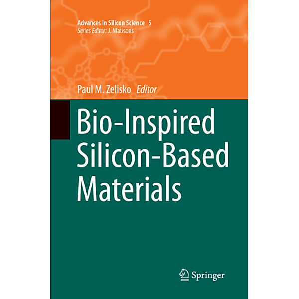 Bio-Inspired Silicon-Based Materials