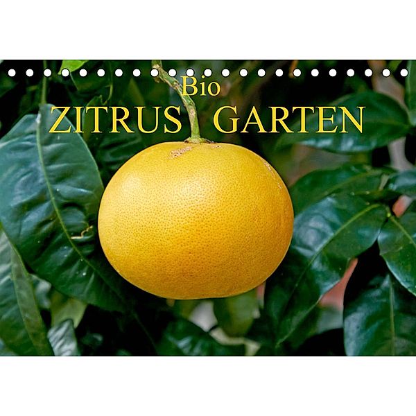 Bio Zitrus Garten (Tischkalender 2023 DIN A5 quer), Martin Rauchenwald