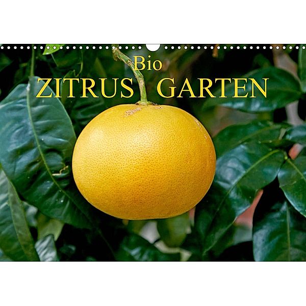 Bio Zitrus Garten (Wandkalender 2023 DIN A3 quer), Martin Rauchenwald