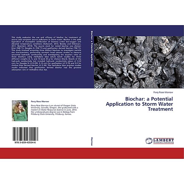 Biochar: a Potential Application to Storm Water Treatment, Perry Rose Morrow