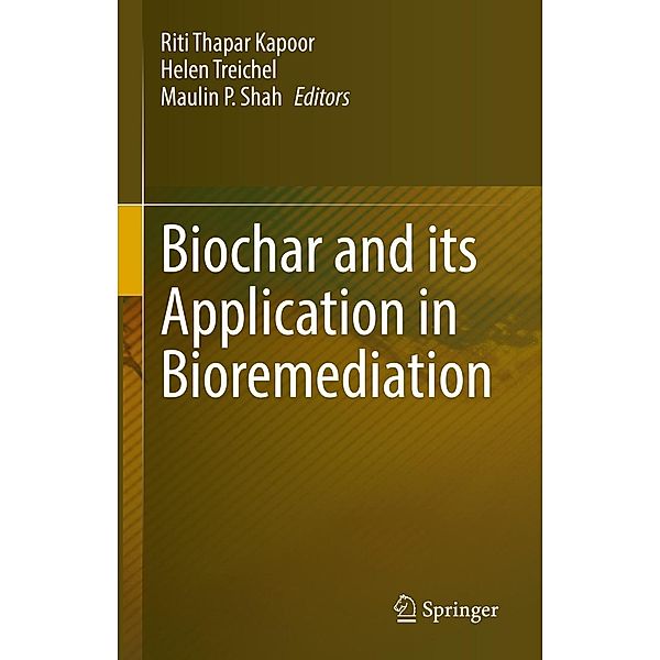 Biochar and its Application in Bioremediation