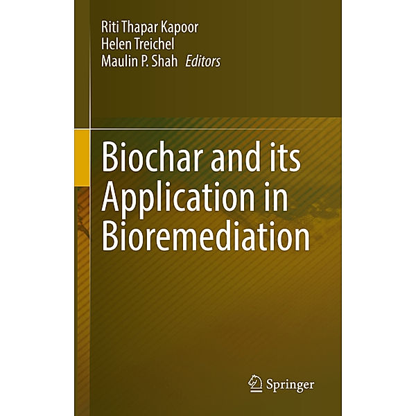 Biochar and its Application in Bioremediation