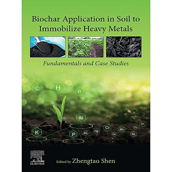 Biochar Application in Soil to Immobilize Heavy Metals