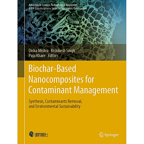 Biochar-Based Nanocomposites for Contaminant Management